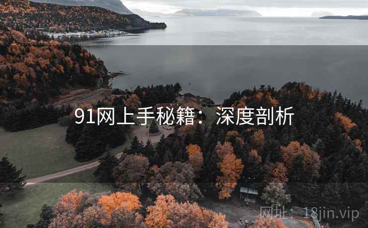 91网上手秘籍:深度剖析 91网上手秘籍:深度剖析