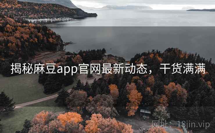 揭秘麻豆app官网最新动态，干货满满