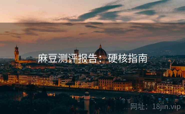 麻豆测评报告：硬核指南